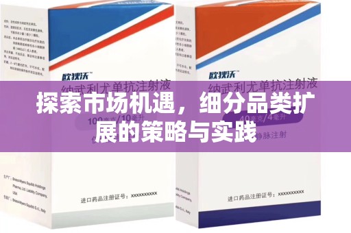 沧州探索市场机遇，细分品类扩展的策略与实践