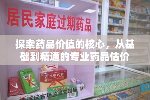 沧州探索药品价值的核心，从基础到精通的专业药品估价