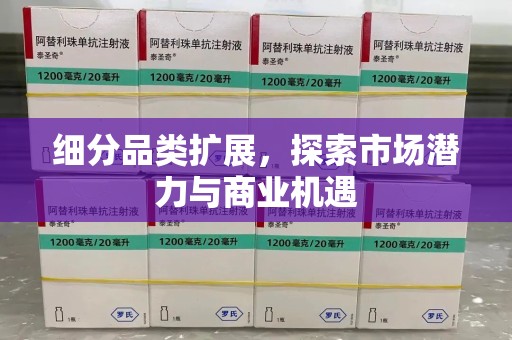 沧州细分品类扩展，探索市场潜力与商业机遇