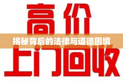 沧州揭秘背后的法律与道德困境