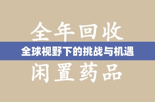 沧州全球视野下的挑战与机遇