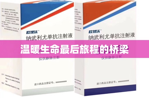 沧州温暖生命最后旅程的桥梁