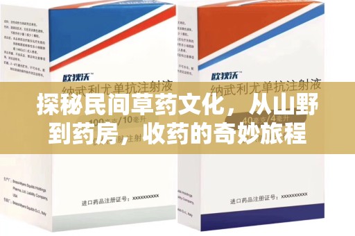 沧州探秘民间草药文化，从山野到药房，收药的奇妙旅程