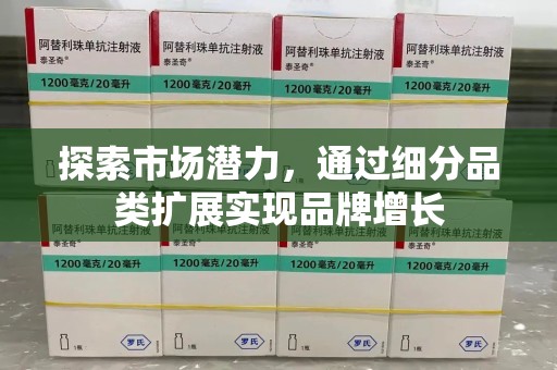 沧州探索市场潜力，通过细分品类扩展实现品牌增长
