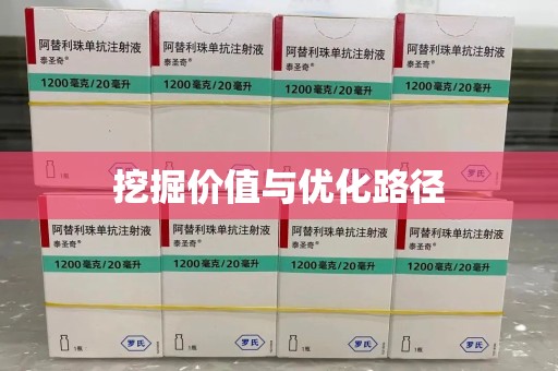沧州挖掘价值与优化路径